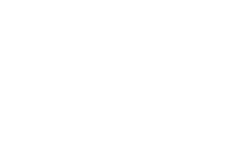 Més de 85 anys - Compromís amb el futur