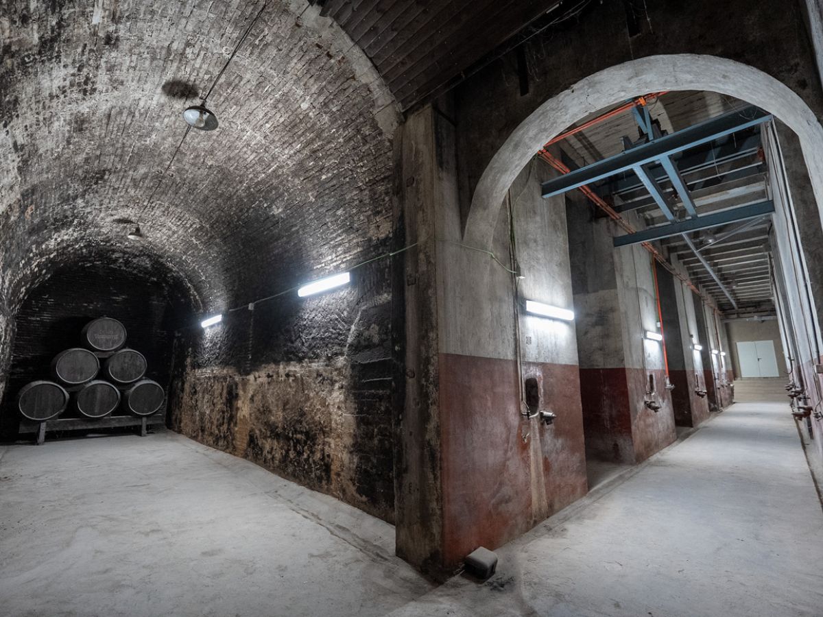 REHABILITACIÓ DELS ANTICS MAGATZEMS DE VINS CORTINA PER A BIBLIOTECA